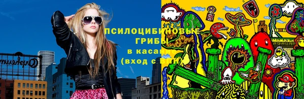 стаф Алзамай