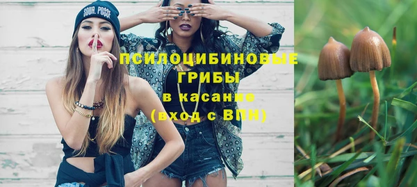 стаф Алзамай