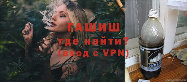 стаф Алзамай