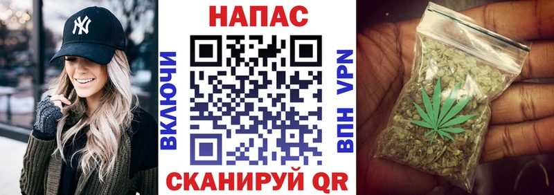 Шишки марихуана конопля  Купить где  Мегион 
